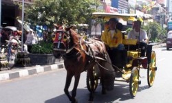 wisata dengan andong di Jogja
