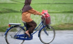 sepeda-untuk-sekolah-kuliah