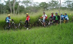 rent-bicycle-for-cycling-tours-in-jogja-tourism-destination