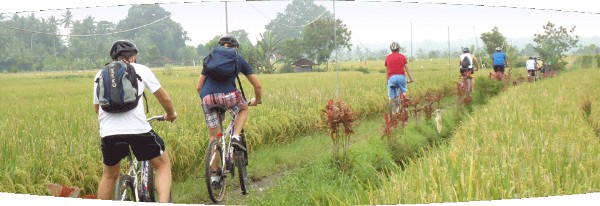 Rute Wisata Sepeda di Pedesaan dan Persawahan di Jogjakarta