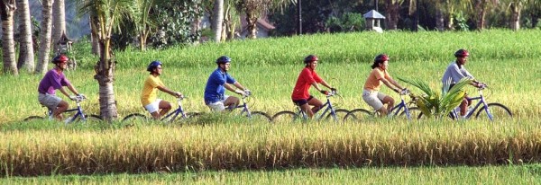 Wisata Sepeda menikmati area Persawahan dan pedesan di Jogjakarta