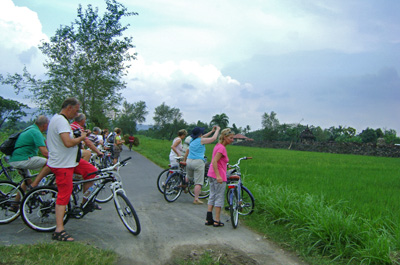 Rice Field Cycling Tour in Prambanan and Borobudur