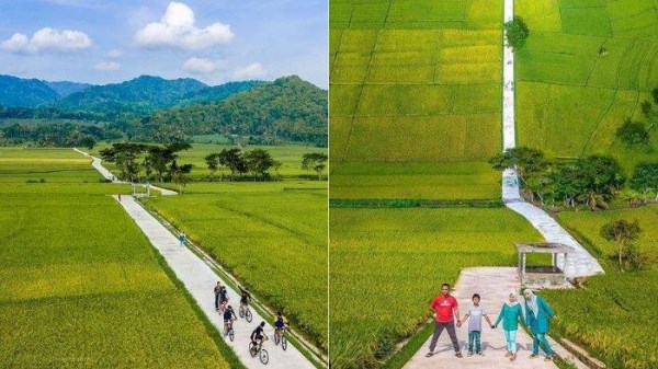 rute sepeda persawahan Nangulan