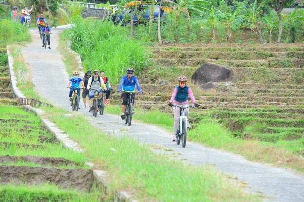 Paket Wisata sepeda Jalur Luna Maya Sawah Nanggulan 