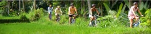 palagan-cycling-tours
