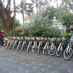 Sewa sepeda Jogja, rental sepeda jogja, sewa sepeda onthel di Jogja