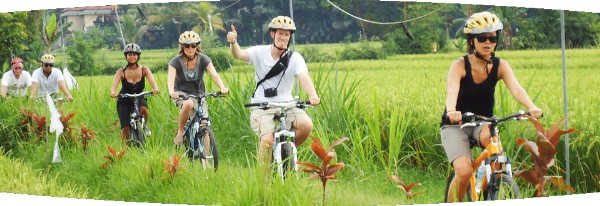 Paket wisata bersepeda menikmati pedesaan dan persawahan