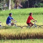 Wisata Sepeda menikmati area Persawahan dan pedesan di Jogjakarta