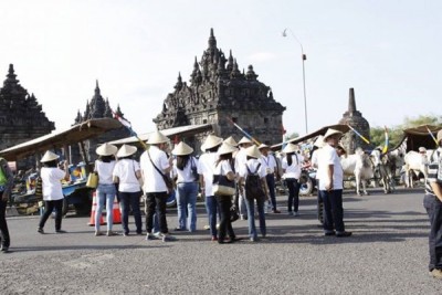Wisata Gerobak sapi di candi Prambanan