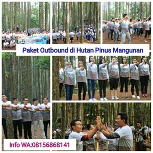 Outbound di Hutan Pinus mangunan Puncak becici Imogiri